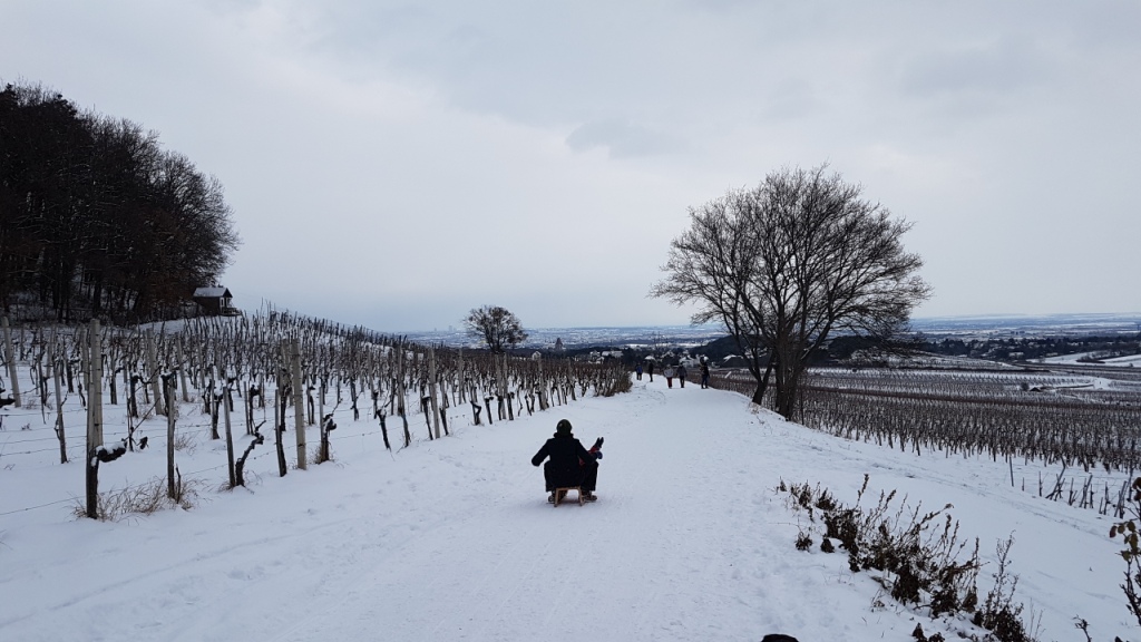 Digital Detox Rodeln