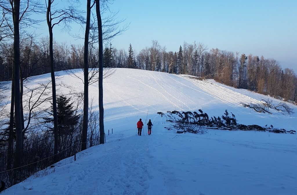 Digital Detox Winterwanderung